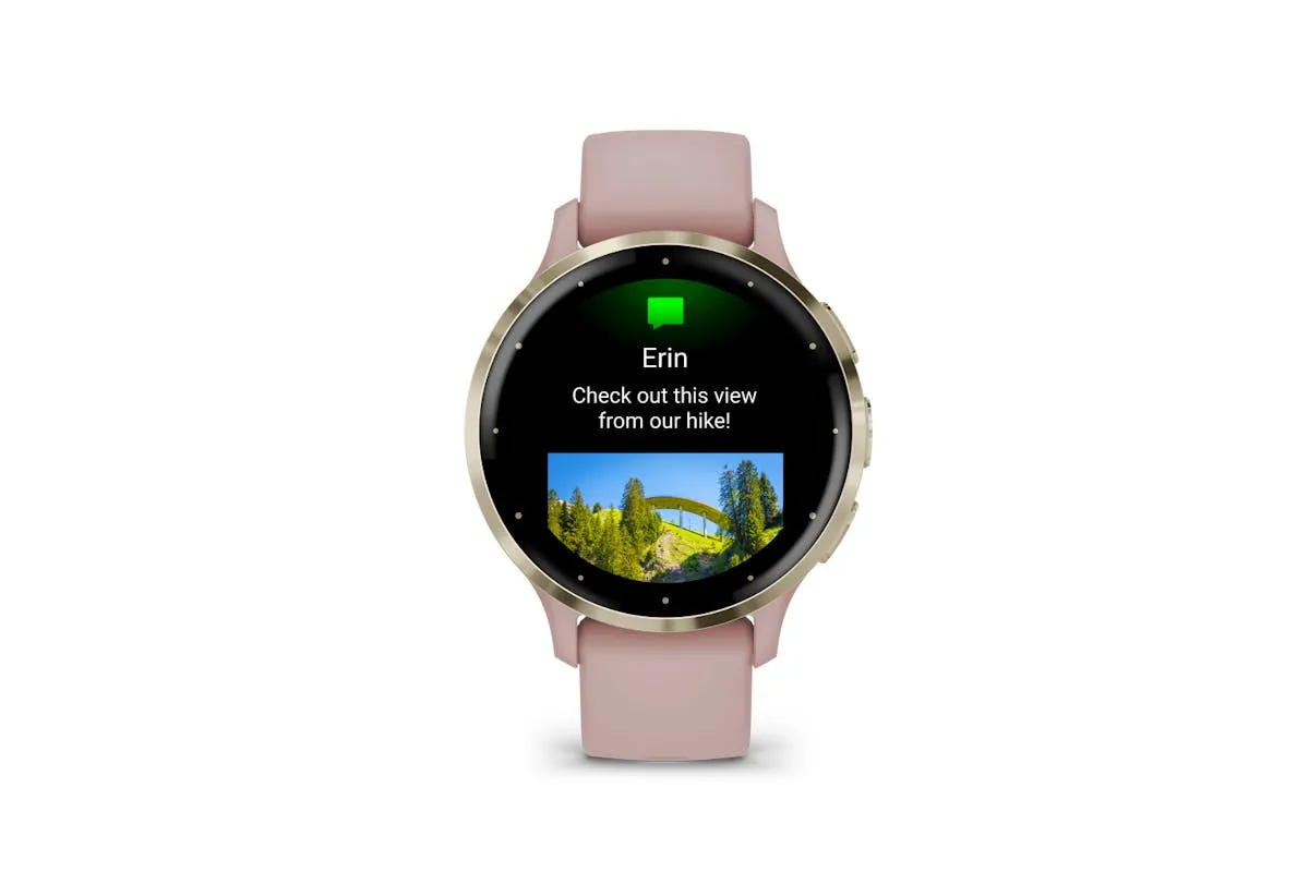 Garmin Venu 3S | Gold/Dust Rose