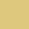 Nixon Time Teller Watch - All Gold/Gold