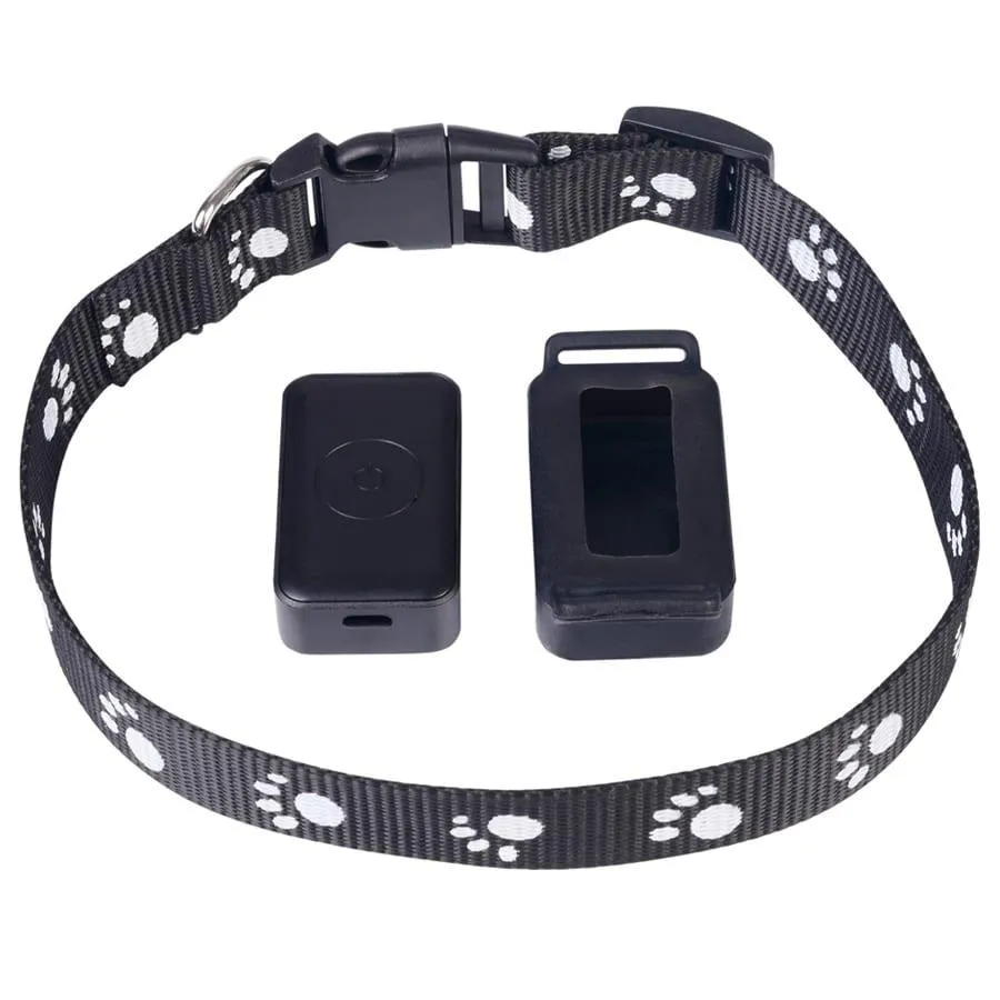 Real-Time GPS Tracker For Pets