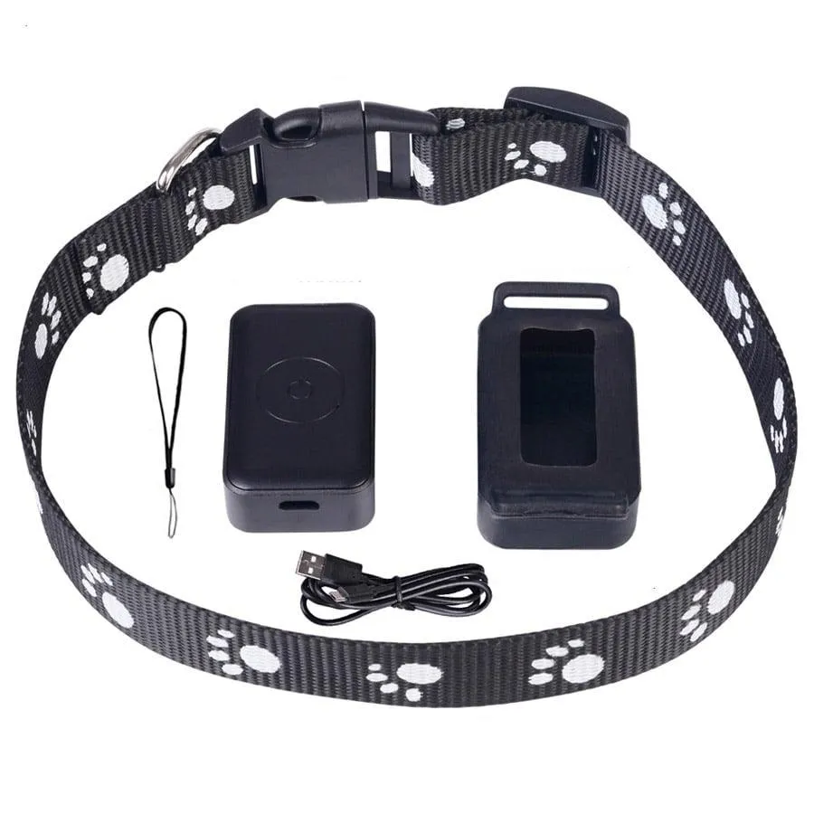 Real-Time GPS Tracker For Pets