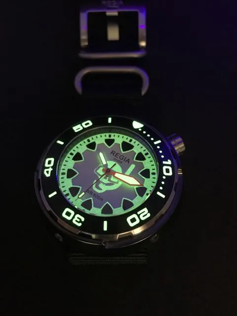Regia Diver 2018 - NEW White Scuba Ghost RIDER dial (Silver) (free shipping)