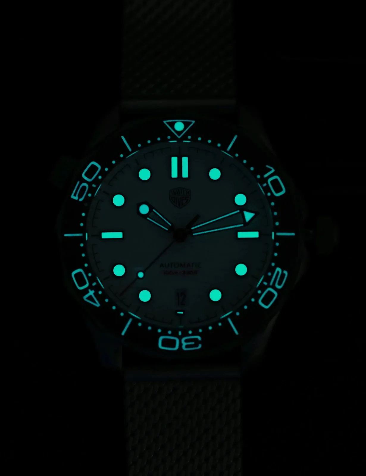 Watchdives 007 Seamaster Diver Automatic Homage Watches